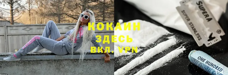 ссылка на мегу ссылка  Донской  shop как зайти  наркотики  COCAIN Fish Scale 